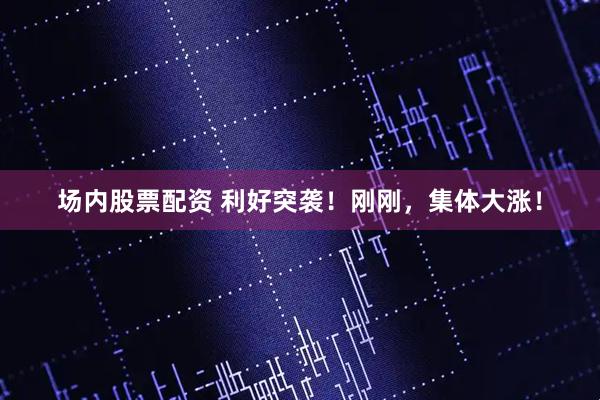 场内股票配资 利好突袭！刚刚，集体大涨！