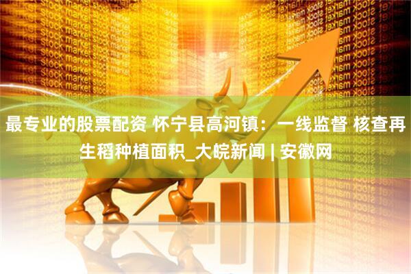 最专业的股票配资 怀宁县高河镇：一线监督 核查再生稻种植面积_大皖新闻 | 安徽网